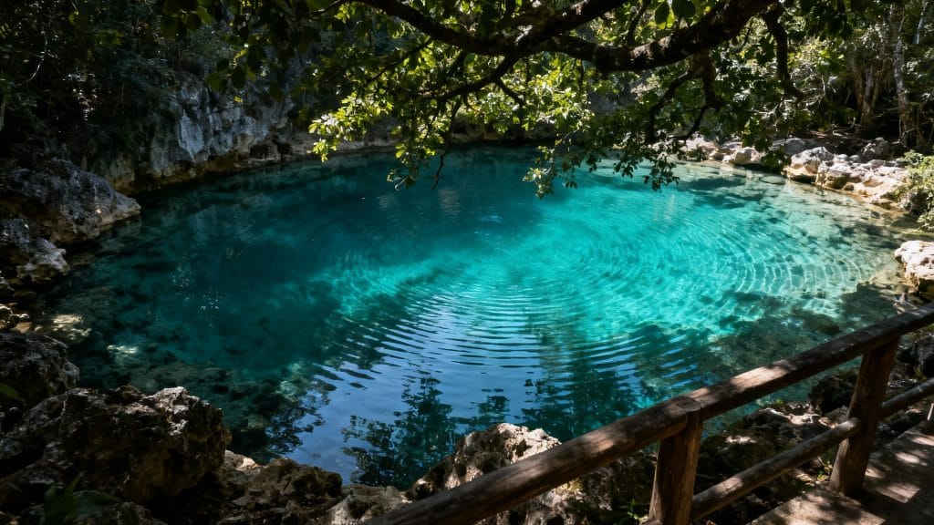 Source turquoise sous bois, eau claire et profonde