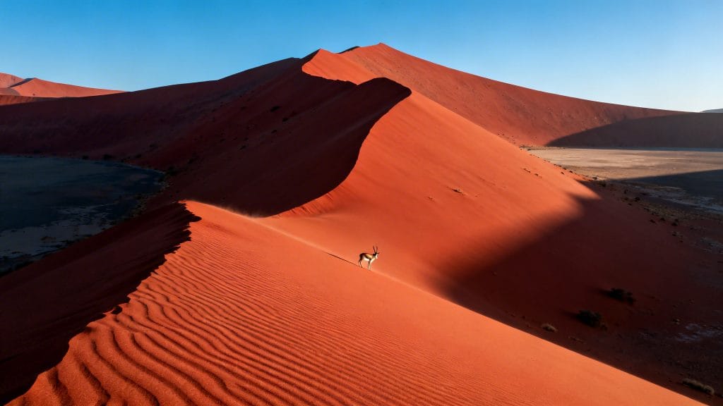 Dunes rouges géantes sous ciel bleu pur