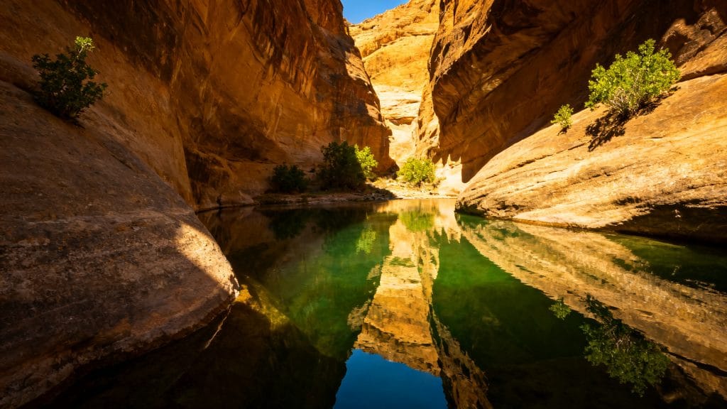 Wadi aux eaux émeraude pour baignade et fraîcheur en octobre