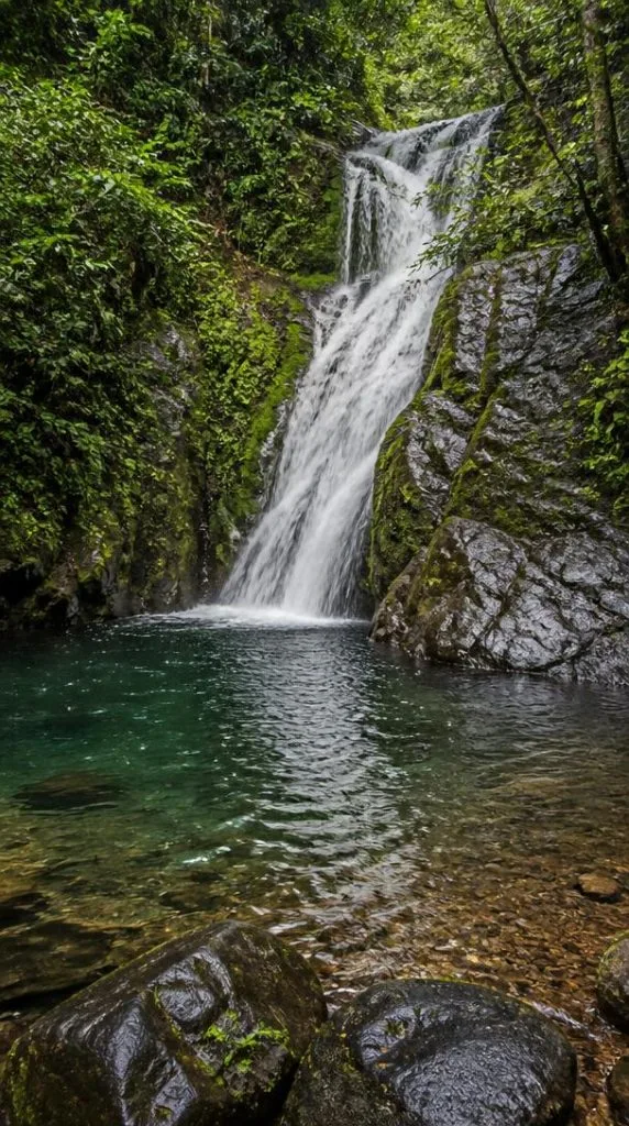 Cascade de Khao Lak dans la forêt tropicale