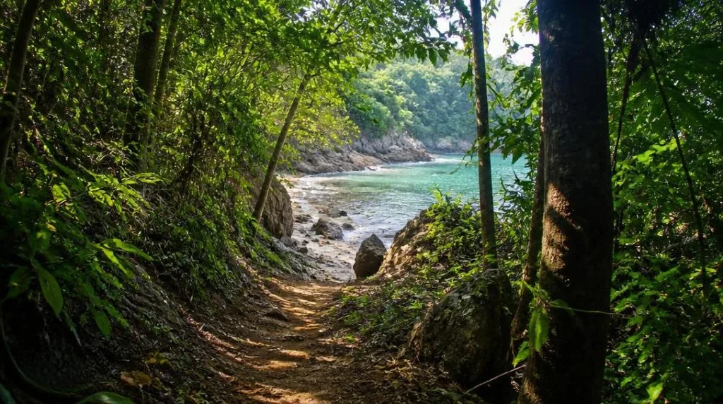 Randonnée à Khao Lak dans une forêt tropicale